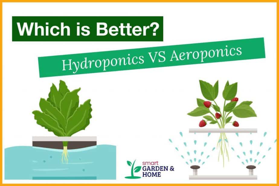 Hydroponics Vs Aeroponics: Which Is Better? | Smart Garden & Home