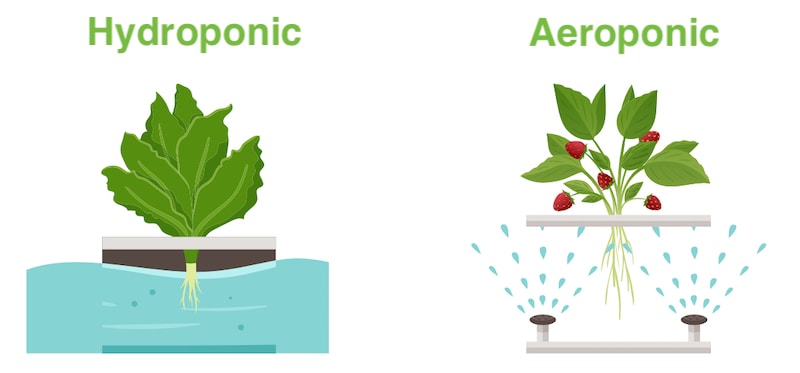 Hydroponics vs Aeroponics