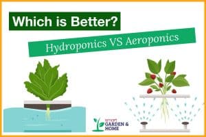 aquaponics vs. hydroponics: which is better? - upstart