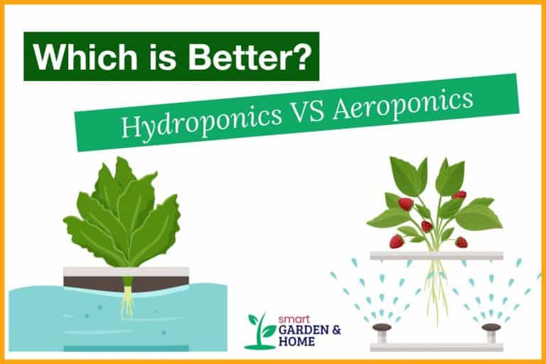 Hydroponics vs Aeroponics - Which is Better?