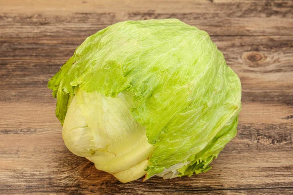 Whole Iceberg Lettuce Head