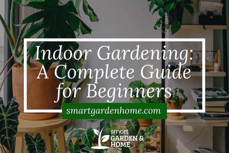 https://smartgardenhome.com/wp-content/uploads/indoor-gardening-for-beginners-complete-guide.jpg