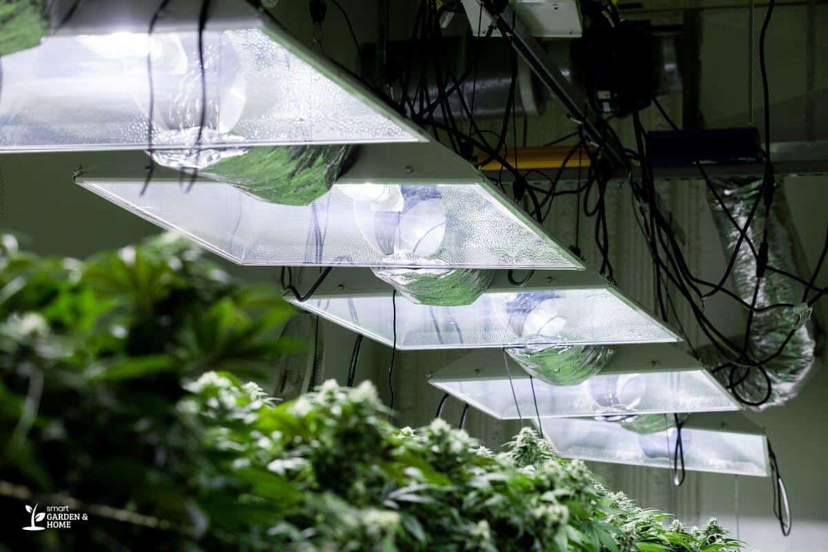 Indoor Hydroponic System With Big Grow Lights