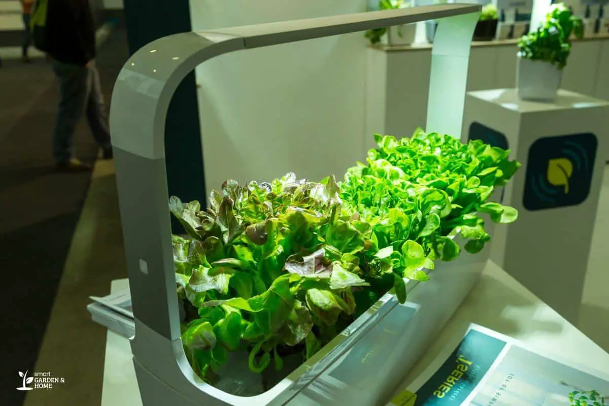 Indor Hydroponic System with Good Grow Lights Setup