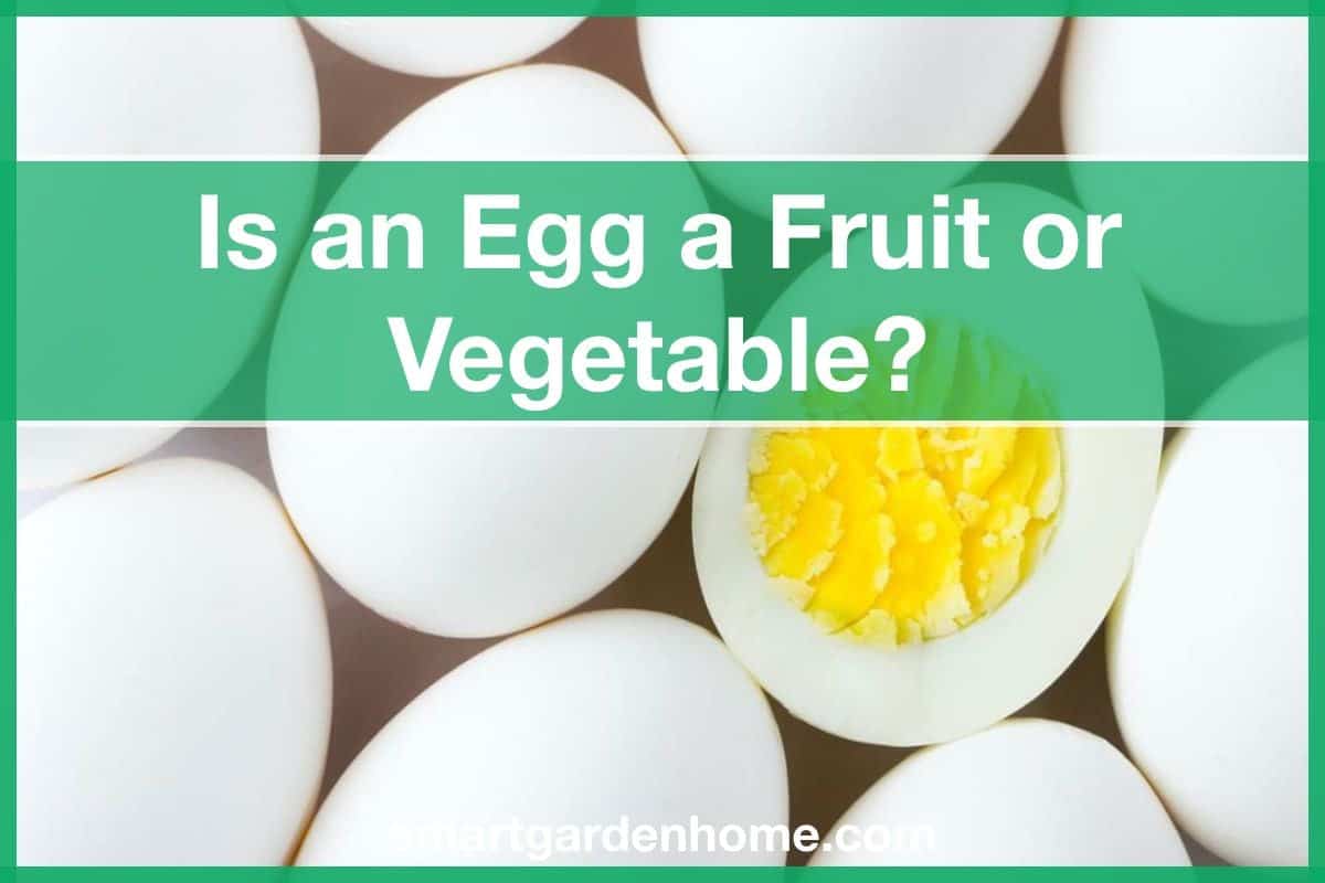 is-an-egg-a-fruit-or-vegetable-smart-garden-and-home