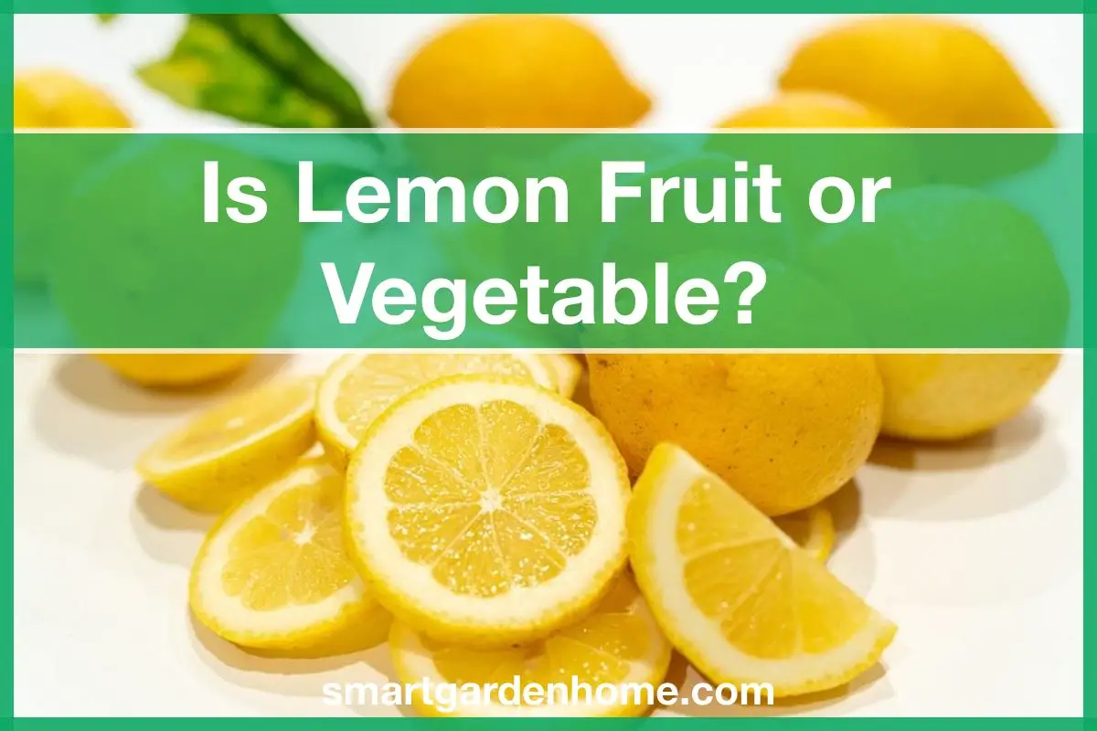 Is Lemon A Fruit Or Vegetable Smart Garden And Home