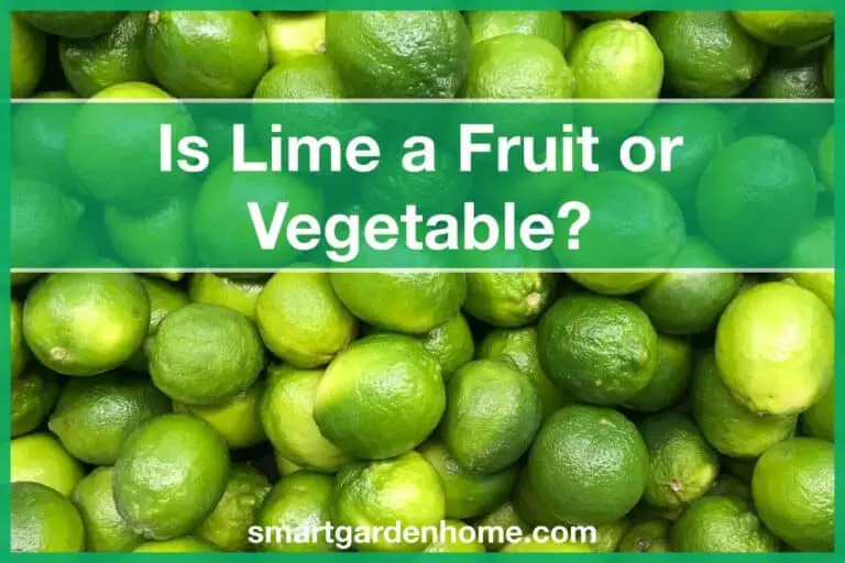 Is Lime a Fruit or Vegetable