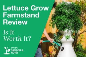 Lettuce Grow Farmstand Review
