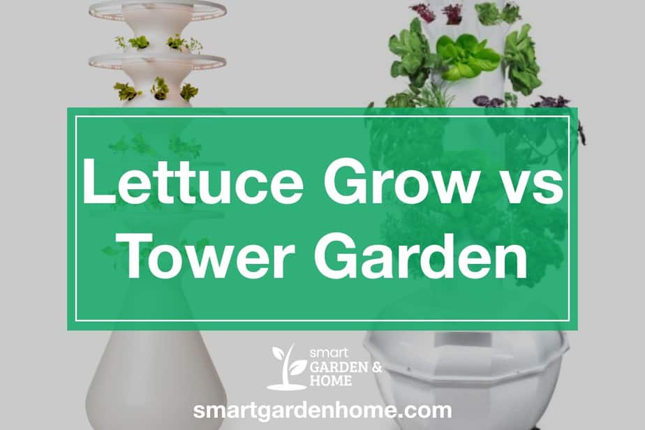 Lettuce Grow Vs Tower Garden Comparison Smart Garden And Home