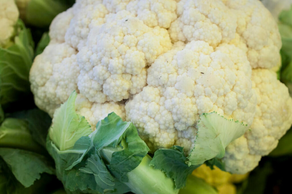 Man Made Cauliflower