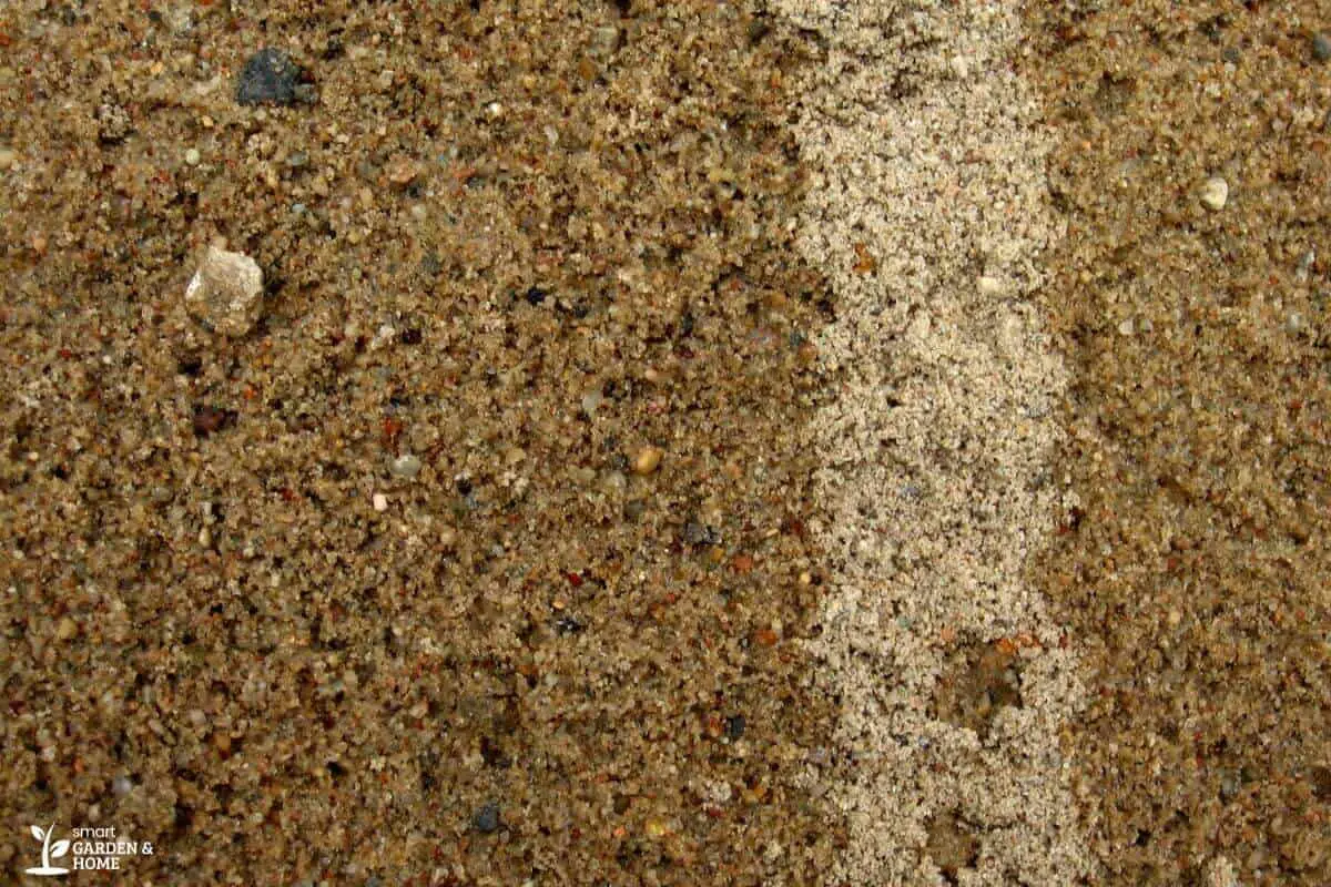 Moist Sand