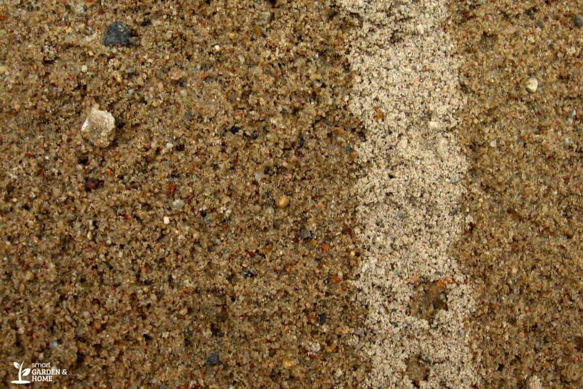 Close-up of sandy soil with fine texture and different shades of brown.