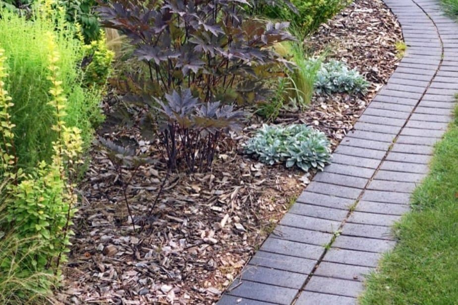 Mulch Use for Plants and Shrubs along a Walkway