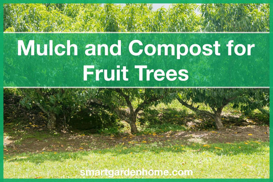 Using Mulch and Compost for Fruit Trees