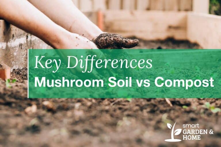 Mushroom Soil vs Compost: Key Differences