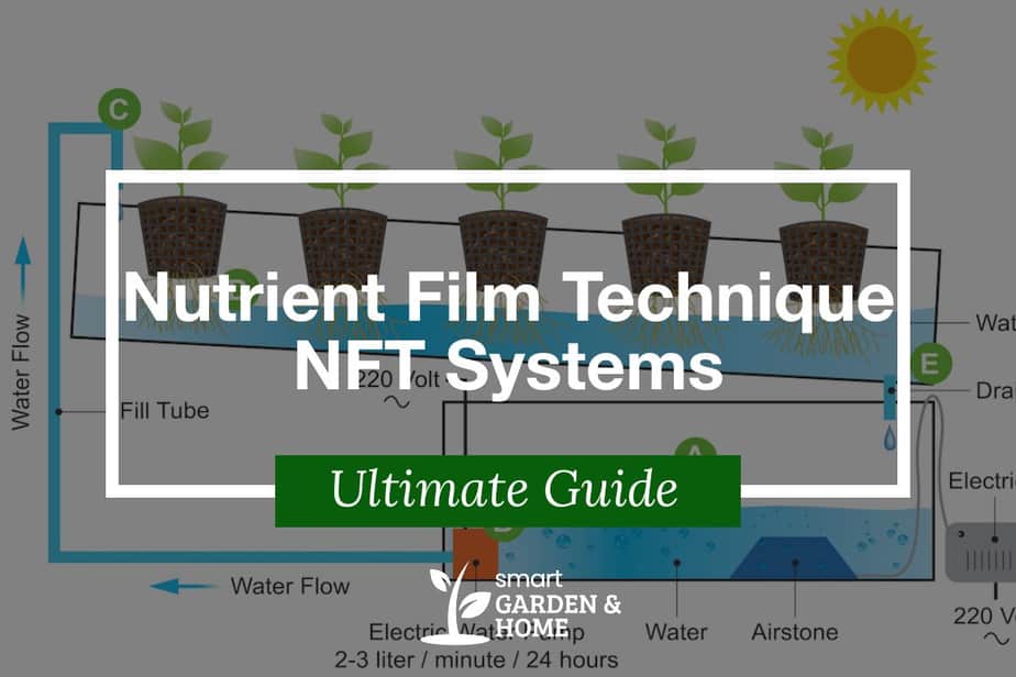 Nutrient Film Technique NFT Systems Complete Guide