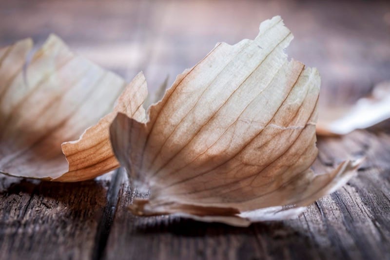 Close-up of dried onion skin fragments on a rustic wooden surface.