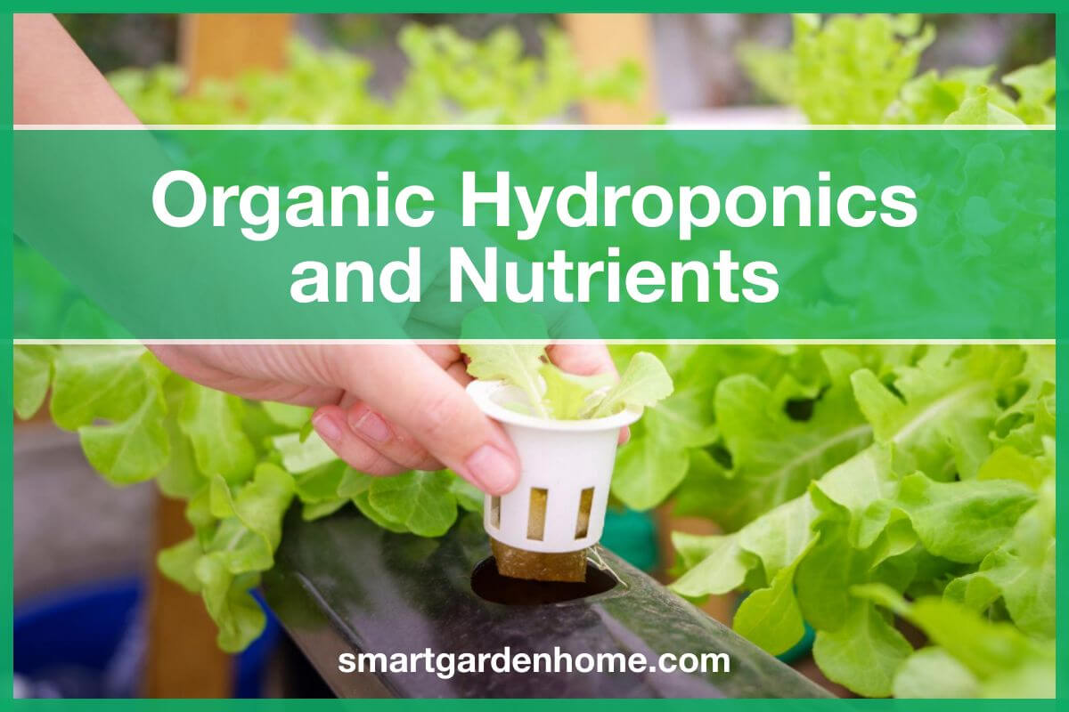 Organic Hydroponic Nutrients