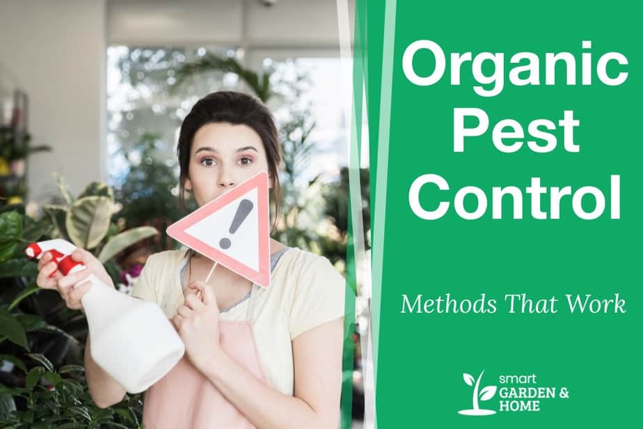 Organic Pest Control Methods That Work