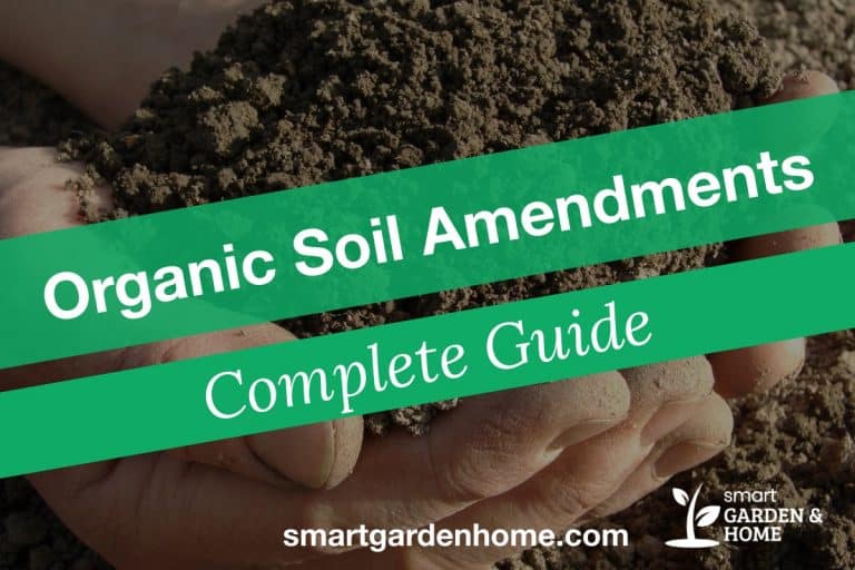 Organic Amendments For Soil: Complete Guide | Smart Garden & Home