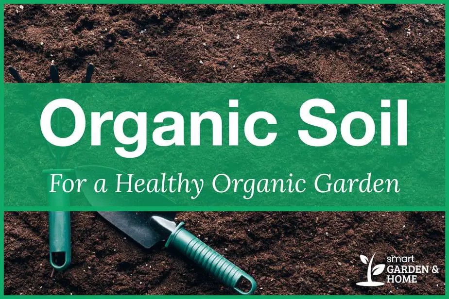 Organic Soil for a Healthy Organic Garden