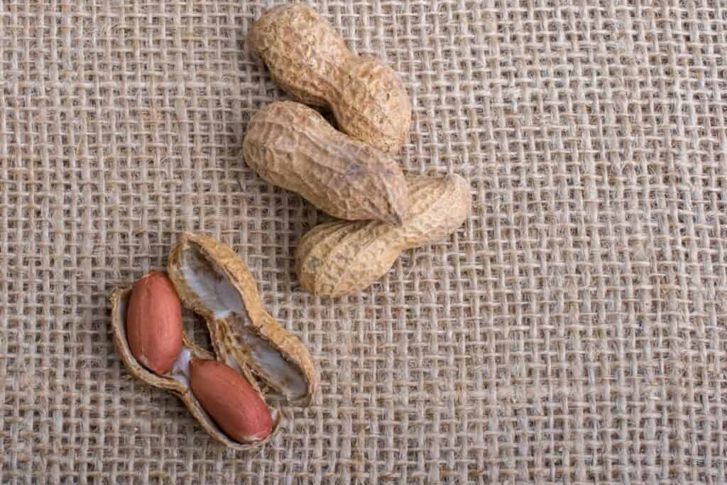 Open and Closed Peanut Shells