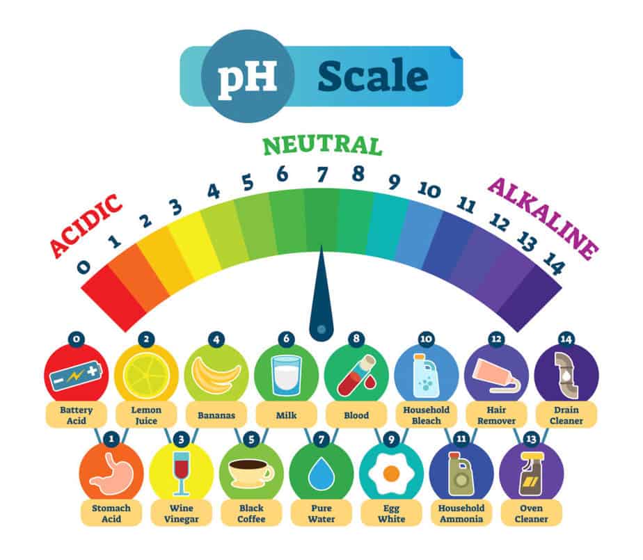 pH Levels Scale from Acidic to Alkaline