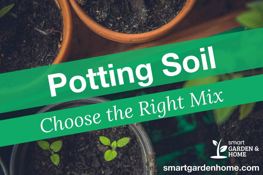 Potting Soil: Choosing The Right Mix For Plants - Smart Garden And Home