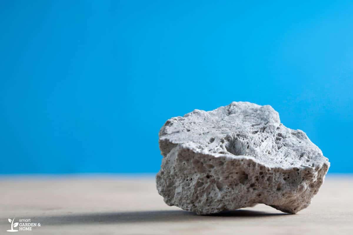 Hydroponic Pumice Rock on a Flat Surface