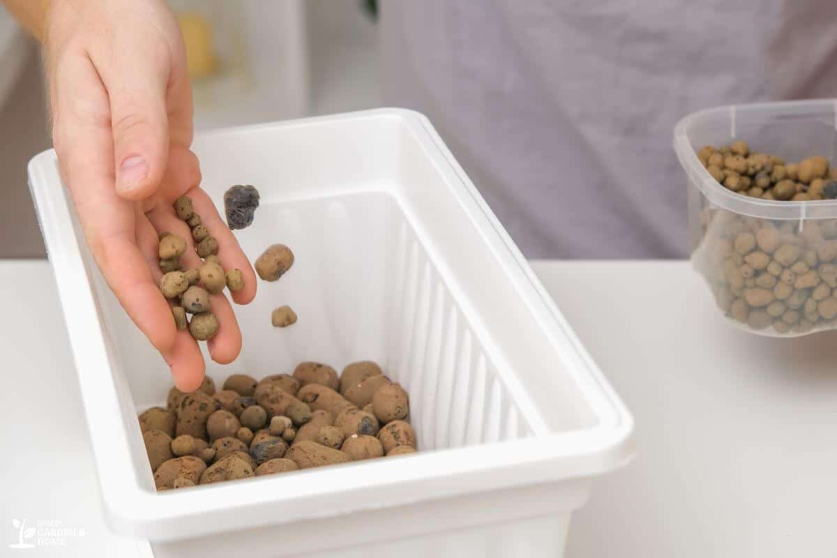 Filling Pot with Clay Pebbles