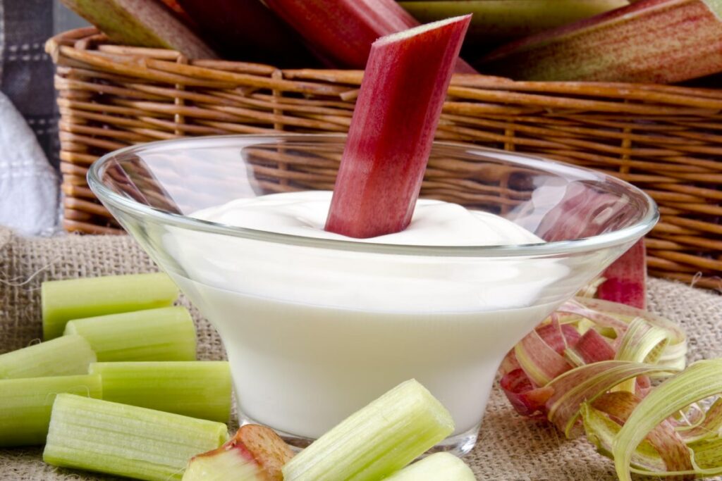 Rhubarb Appetizer and Dip