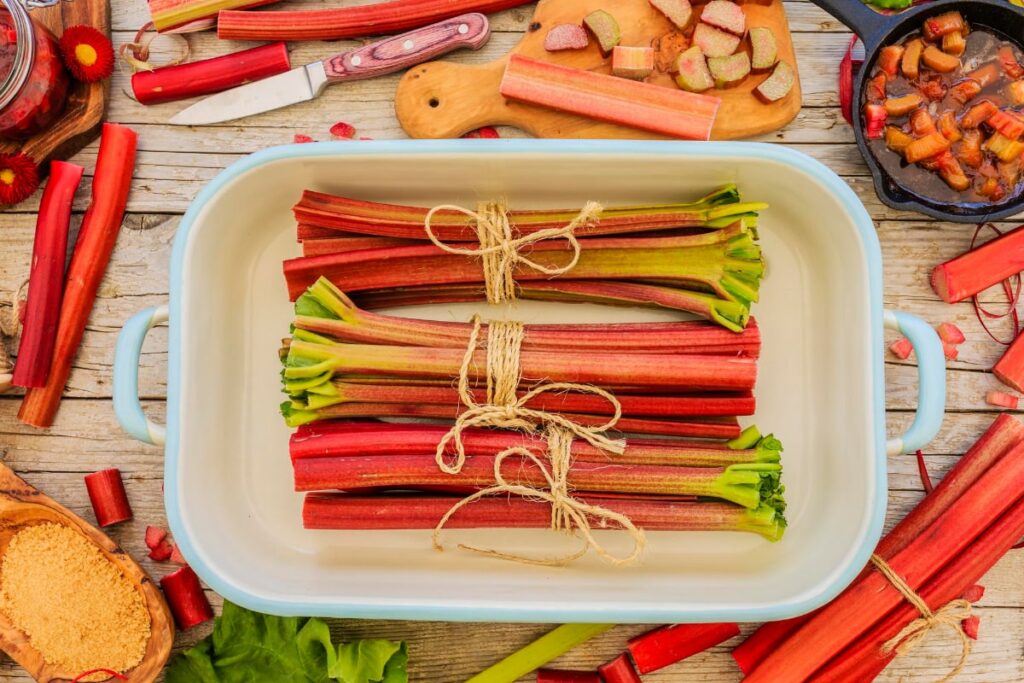 Raw Rhubarb Side Dish Appetizer