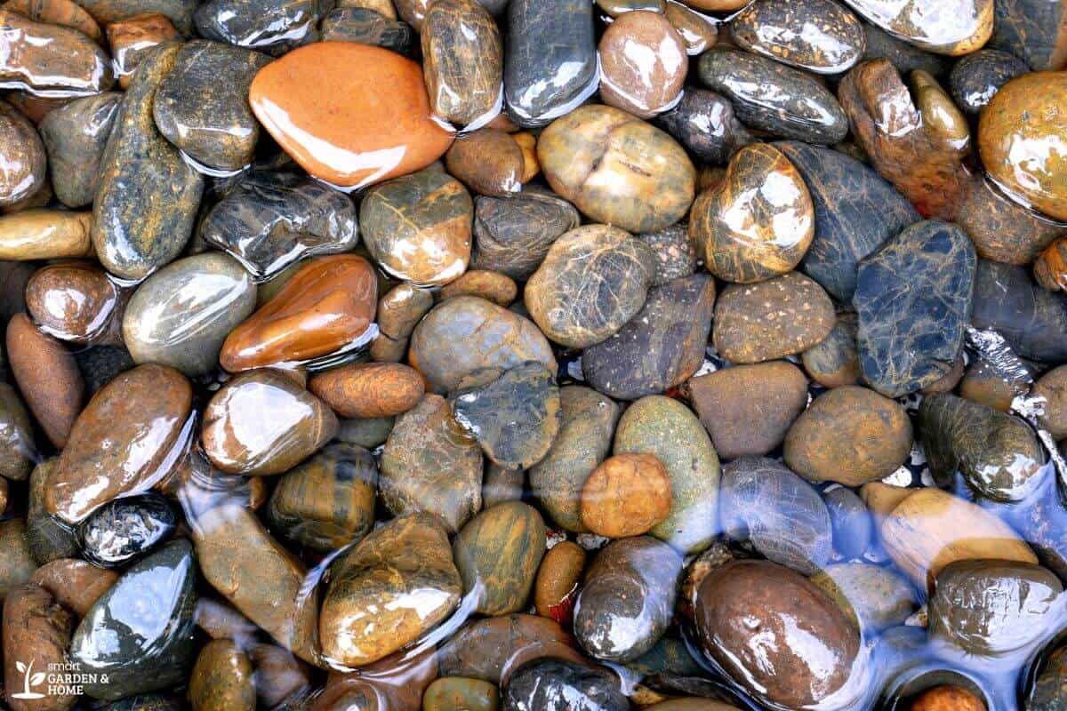 Rinsing Clay Pebbles