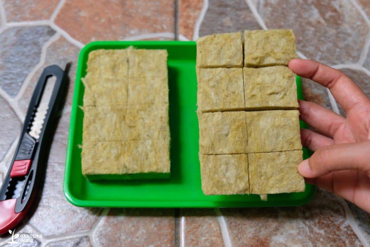 A hand holds a section of hydroponic rockwool that has been cut into smaller cubes, over a green tray containing another uncut section.