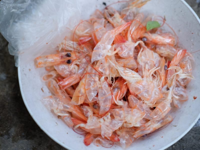 Bowl of Shrimp Shells