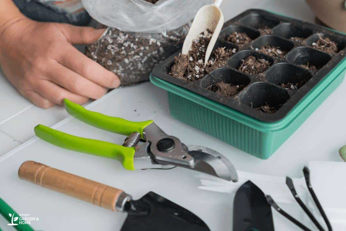 Sorting Out Succulent Soil