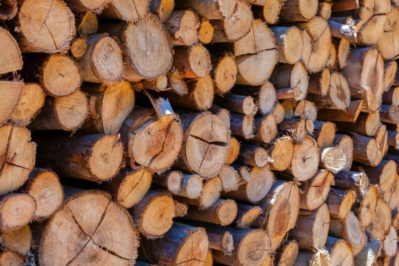 Stack of Firewood