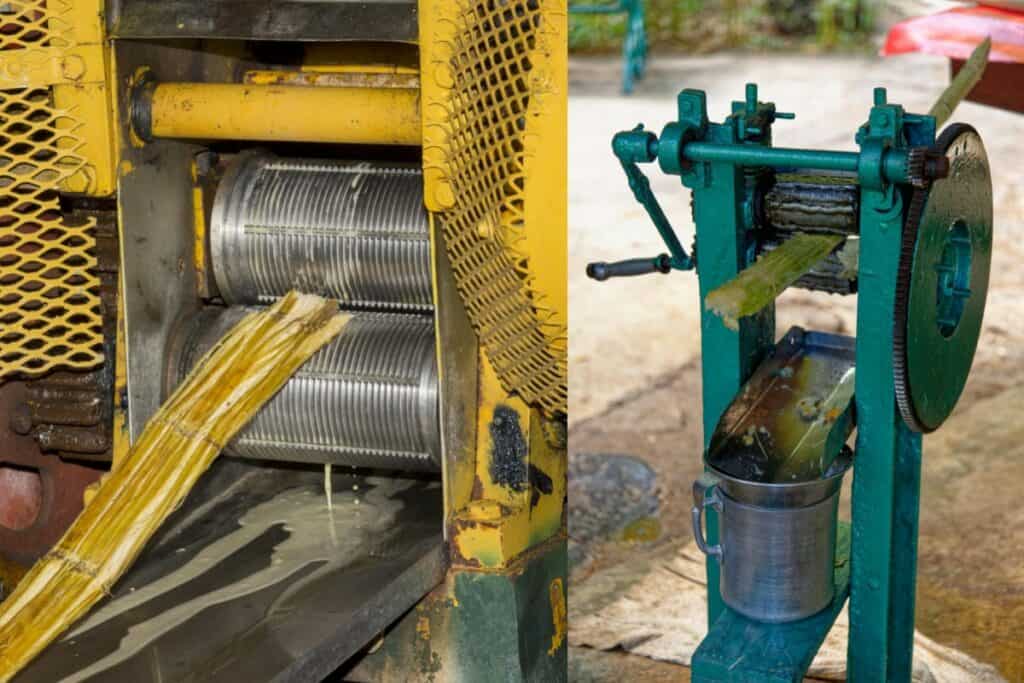 Sugarcane Machines Squeezing Stems for Juice