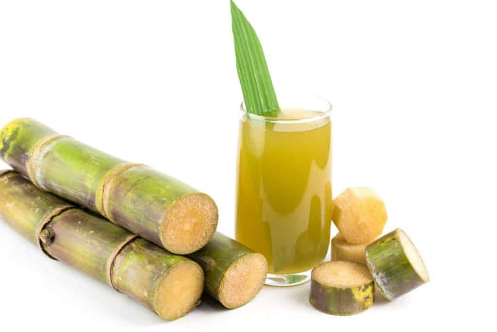 Sugarcane Pieces to Chew and Juice Drink