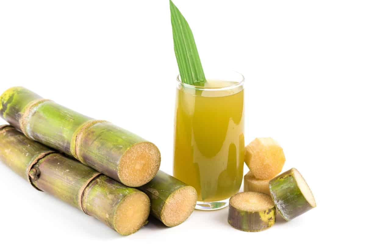 Is Sugarcane a Fruit or Vegetable? - Smart Garden and Home