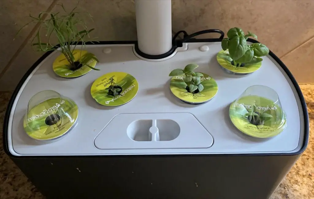Take Domes Off When Plants Start to Sprout