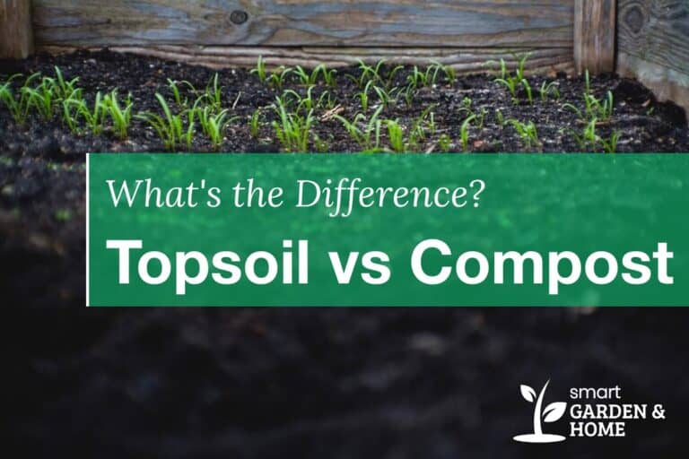 Topsoil vs Compost: What is Better? What are the Differences?