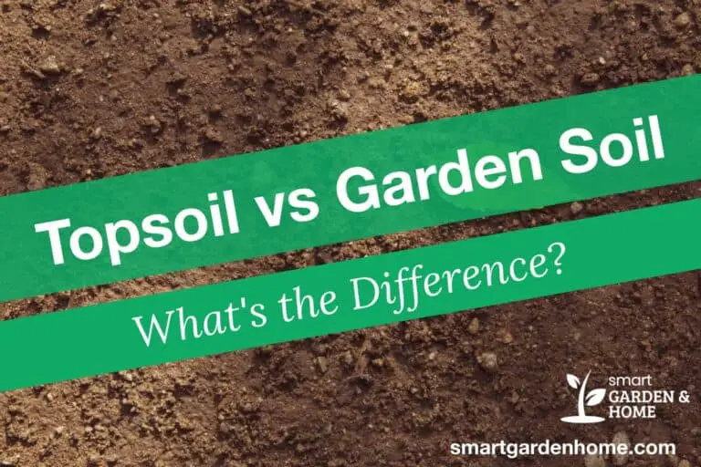 Topsoil vs Garden Soil Differences