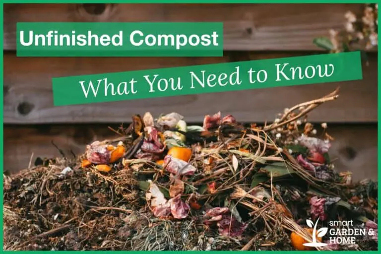 Unfinished Compost What You Need to Know