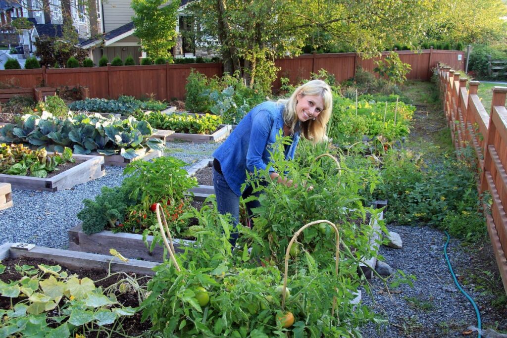 Vegetable Garden Block Layout