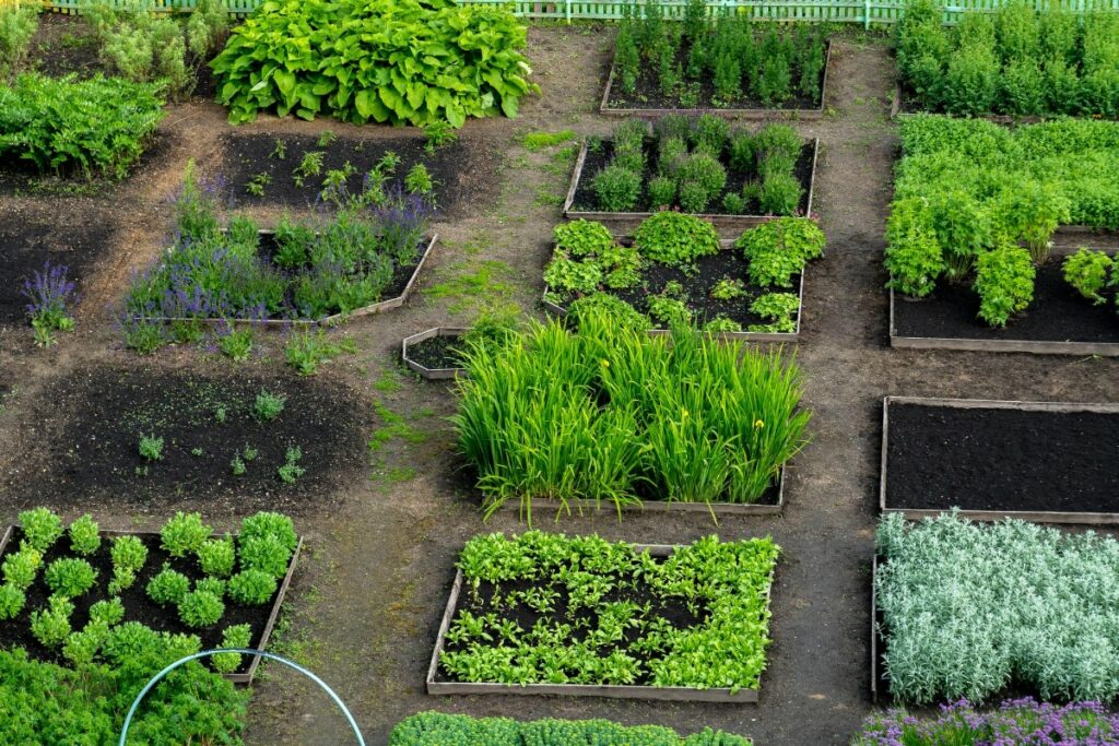 Vegetable Garden Square Foot Layout