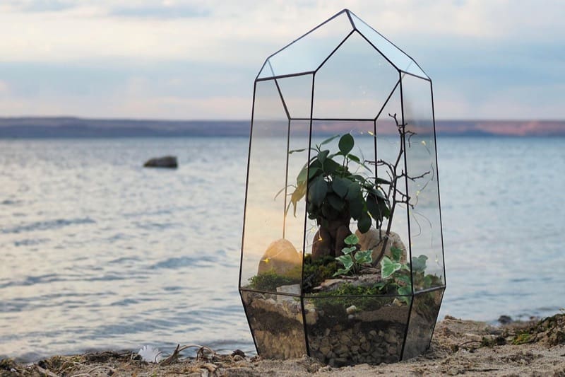 Terrarium on the Beach