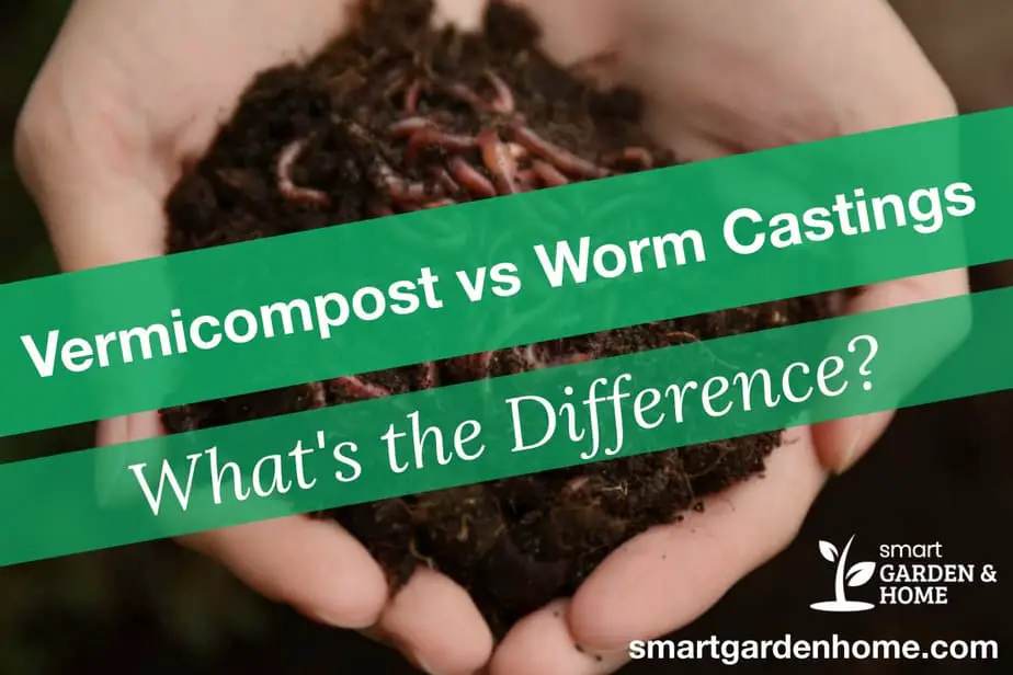Vermicompost vs Worm Castings - What's the Difference?