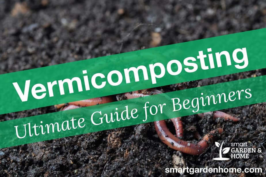 Vermicomposting Ultimate Guide for Beginners