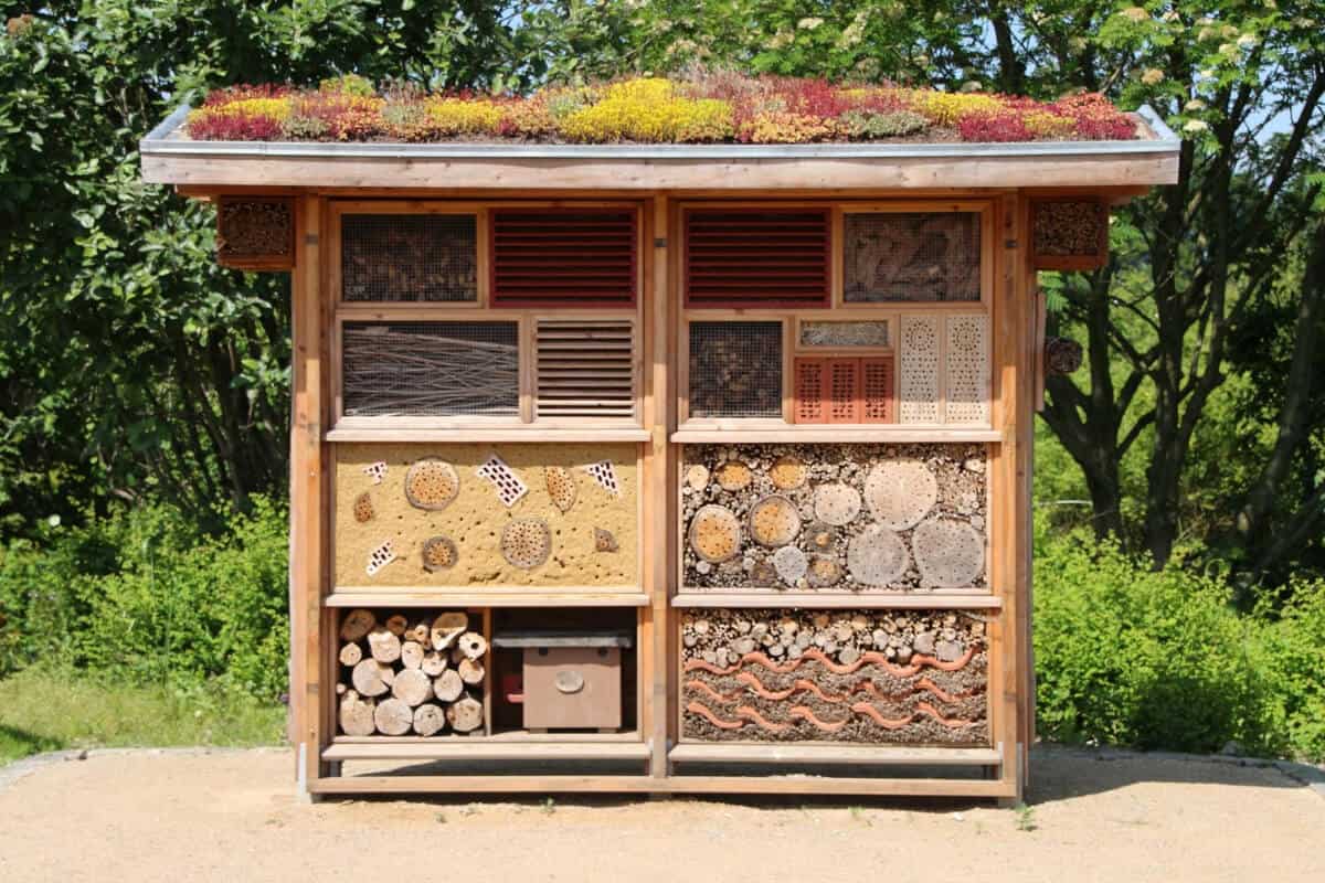 What Is a Beneficial Insect House